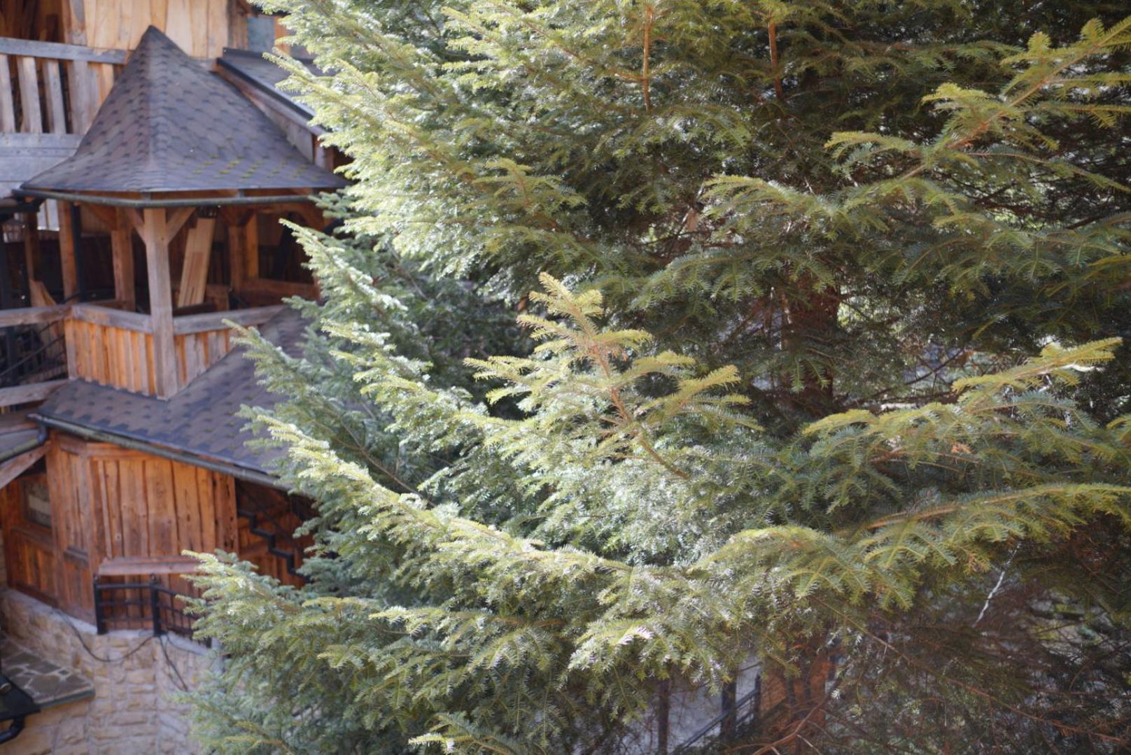 Садиба Nad Prutom 亚列姆切 外观 照片